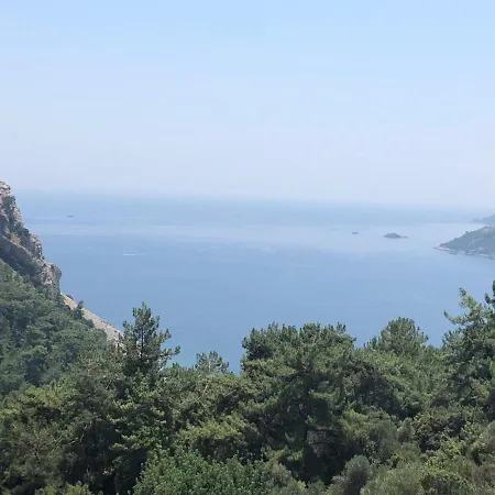 Lavanta Butik Turunc 3*