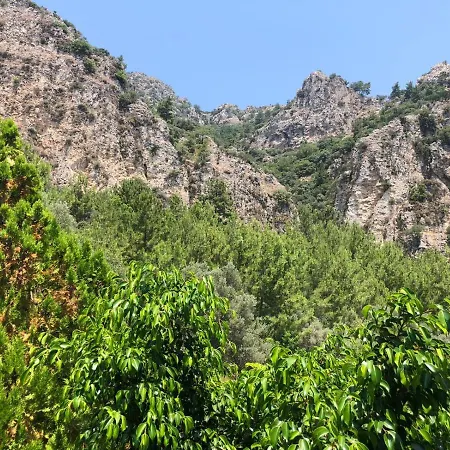 Lavanta Butik Turunc 3* Muğla